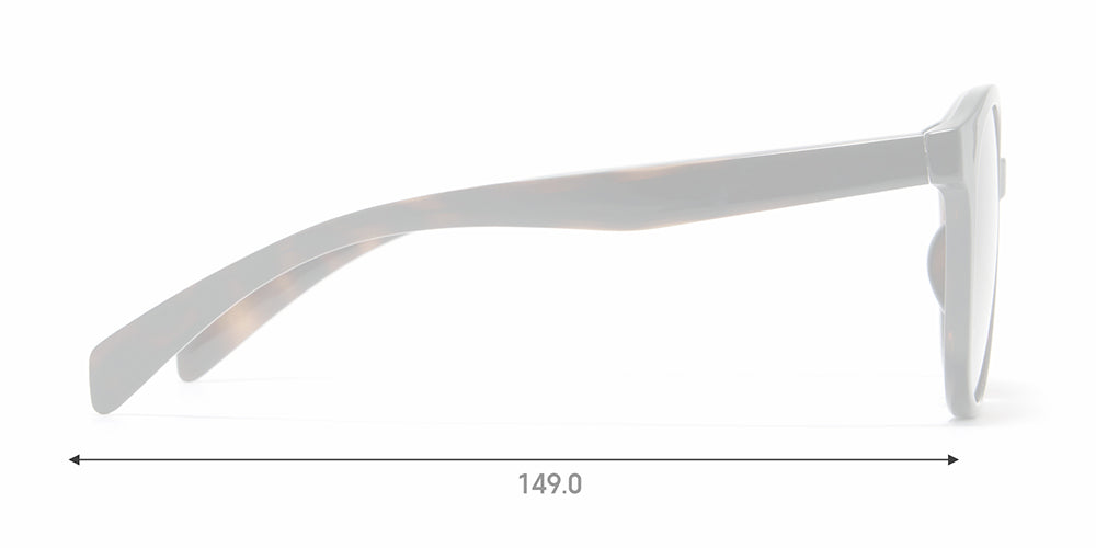 SG STANDARD 067